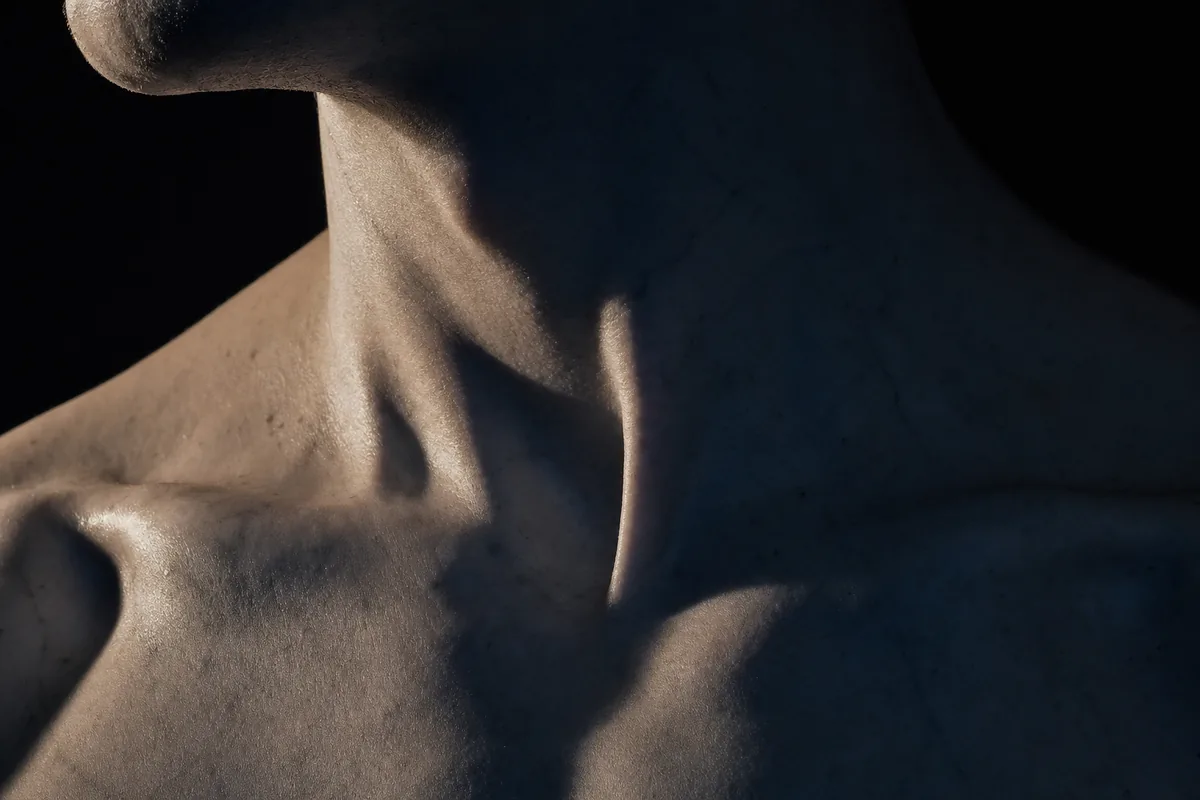 One man's collarbones and the hollow of the throat between them.